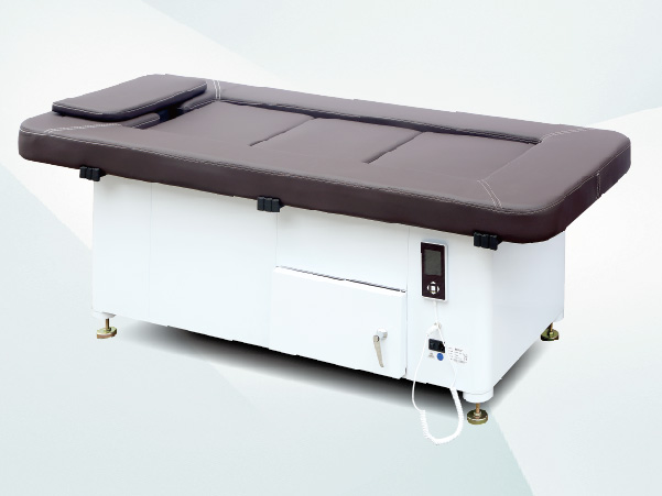 Dual-use multifunctional sweat steam health bed